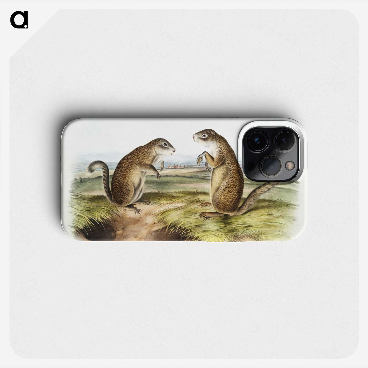 2-7_The-Viviparous-Quadrupeds_phone