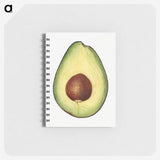 2-7_USDA-Watercolor-Fruit-Painting-Collection_memo
