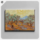 Olive Trees - Vincent van Gogh Canvas.