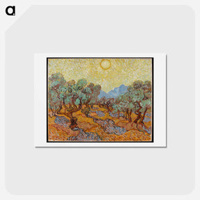 アートポストカード-Olive Trees - フィンセント ファン ゴッホ Postcard.
