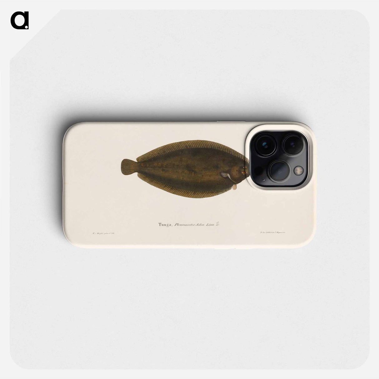 Common sole - ヴィルヘルム フォン ライト Phone Case.