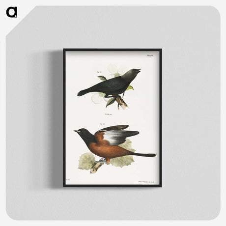 2-7_Zoology-of-New-York_blk-crop