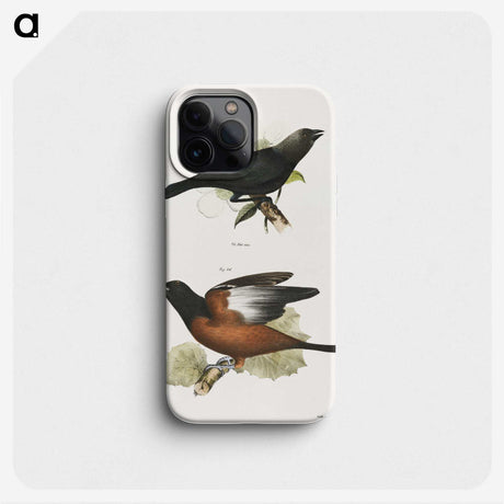 2-7_Zoology-of-New-York_phone