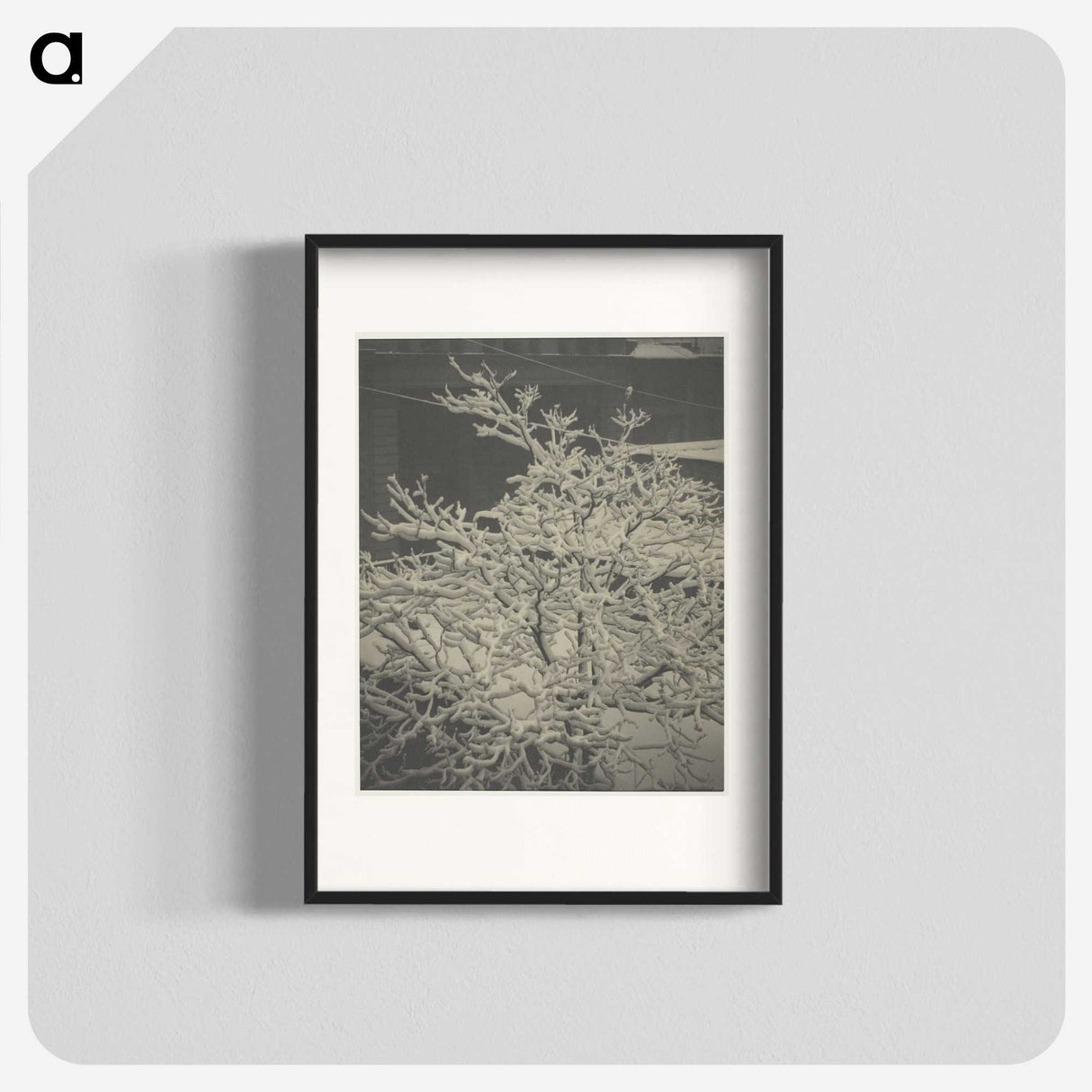 2-80_Alfred-Stieglitz_blk