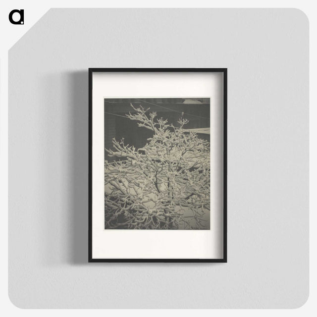 2-80_Alfred-Stieglitz_blk