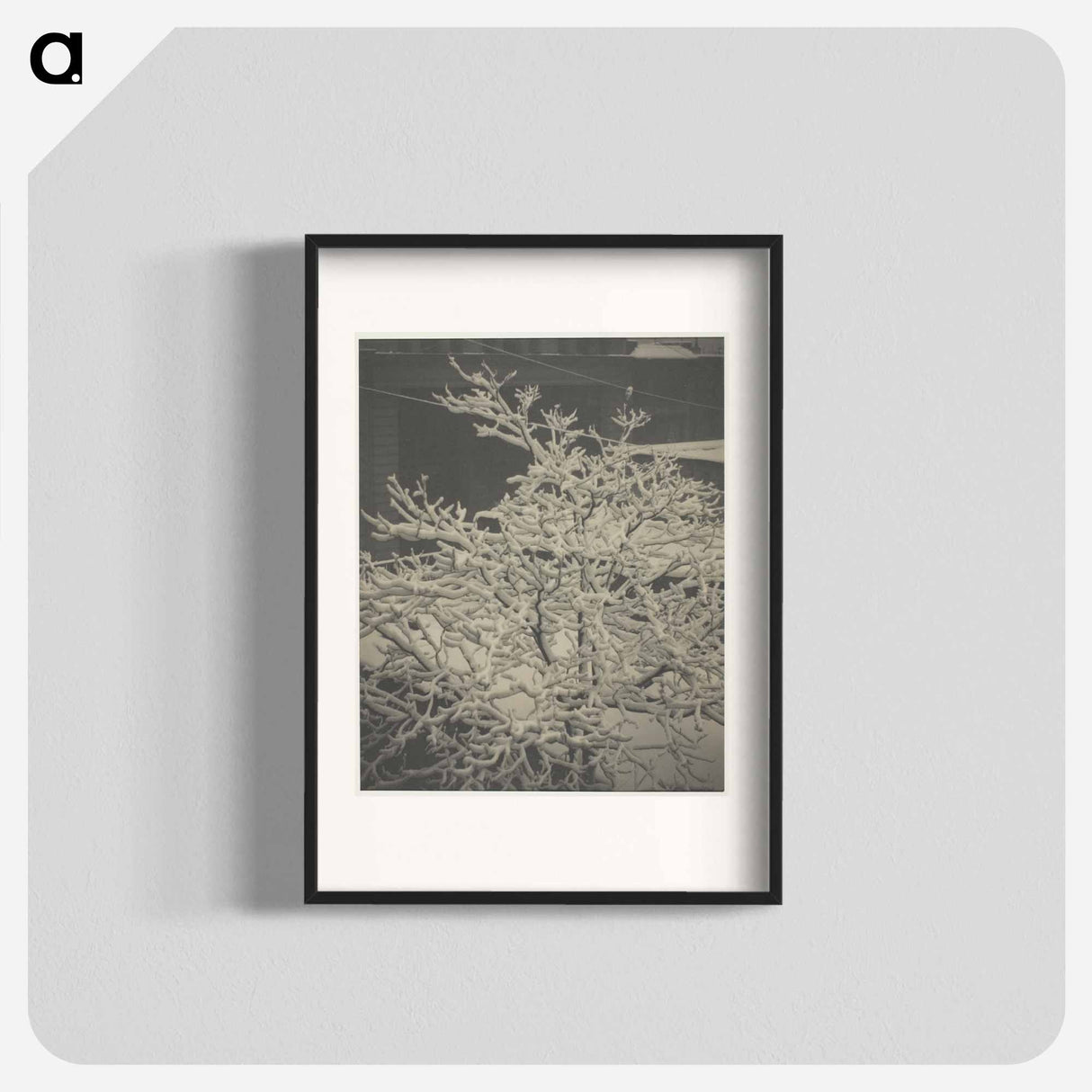 From the Back-Window "291" Snow-Covered Tree, Back-Yard - アルフレッド スティーグリッツ Poster.