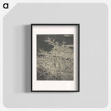From the Back-Window "291" Snow-Covered Tree, Back-Yard - アルフレッド スティーグリッツ Poster.