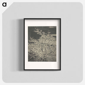 アートポスター-From the Back-Window "291" Snow-Covered Tree, Back-Yard - アルフレッド スティーグリッツ Poster.