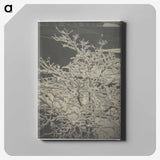 2-80_Alfred-Stieglitz_canvas