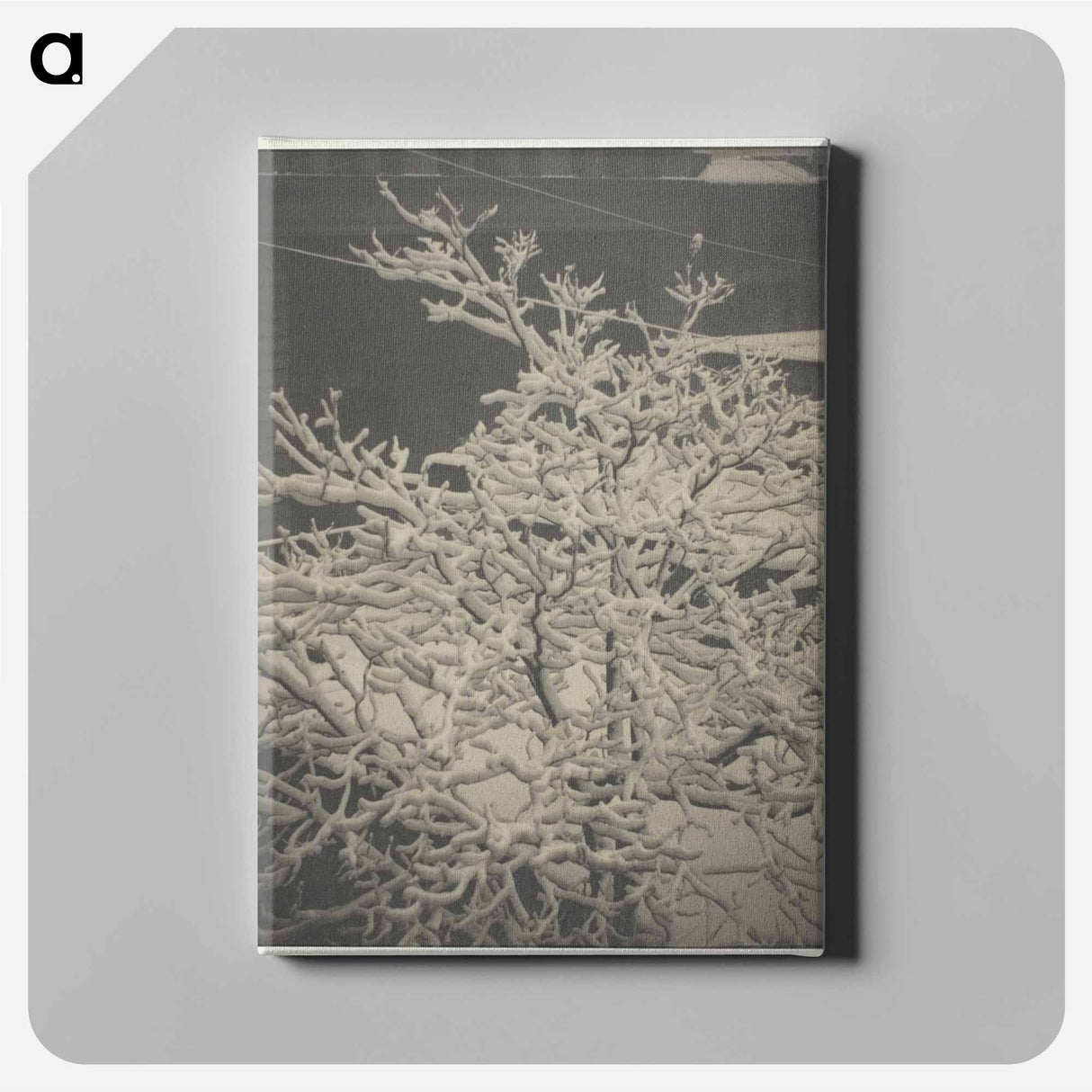 From the Back-Window "291" Snow-Covered Tree, Back-Yard - アルフレッド スティーグリッツ Canvas.
