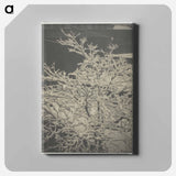 From the Back-Window "291" Snow-Covered Tree, Back-Yard - アルフレッド スティーグリッツ Canvas.