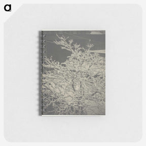 2-80_Alfred-Stieglitz_memo