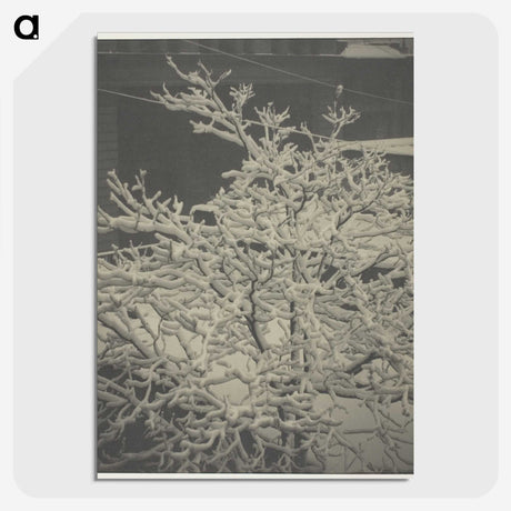 2-80_Alfred-Stieglitz_picture-crop