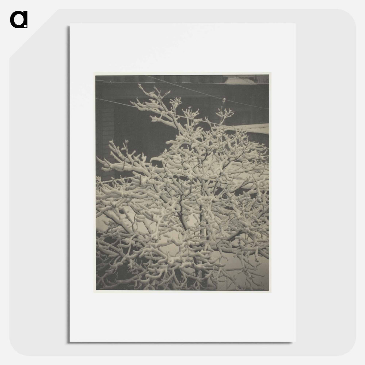 From the Back-Window "291" Snow-Covered Tree, Back-Yard - アルフレッド スティーグリッツ Poster.