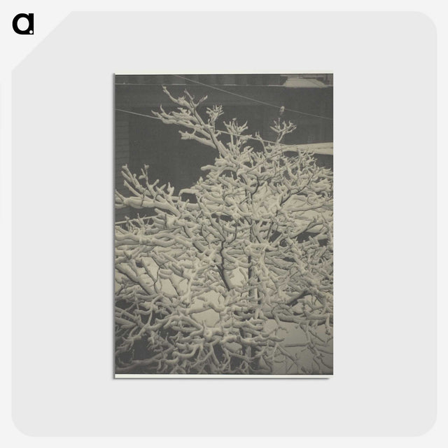 2-80_Alfred-Stieglitz_postcard