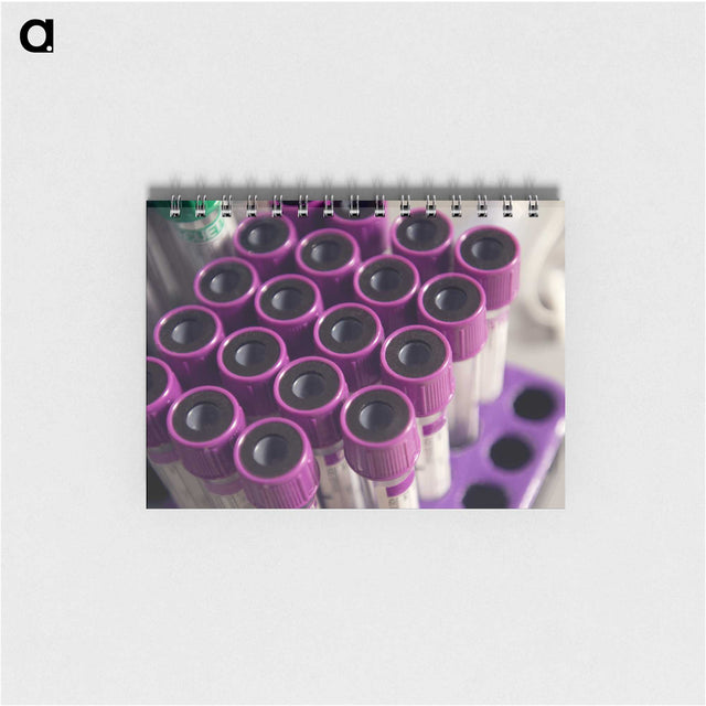 2-80_COVID-19_memo
