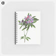 アートメモ帳-Pontic Rhododendron
 - クリーブランド美術館 Memo.
