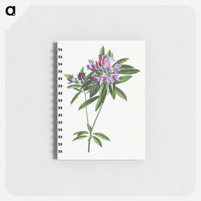 アートメモ帳-Pontic Rhododendron
 - クリーブランド美術館 Memo.