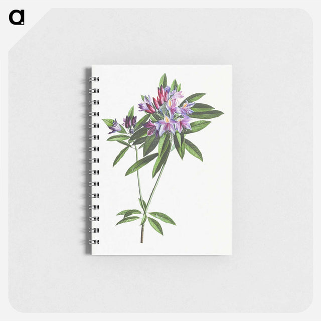 アートメモ帳-Pontic Rhododendron
 - クリーブランド美術館 Memo.