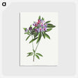 アートポストカード-Pontic Rhododendron
 - クリーブランド美術館 Postcard.