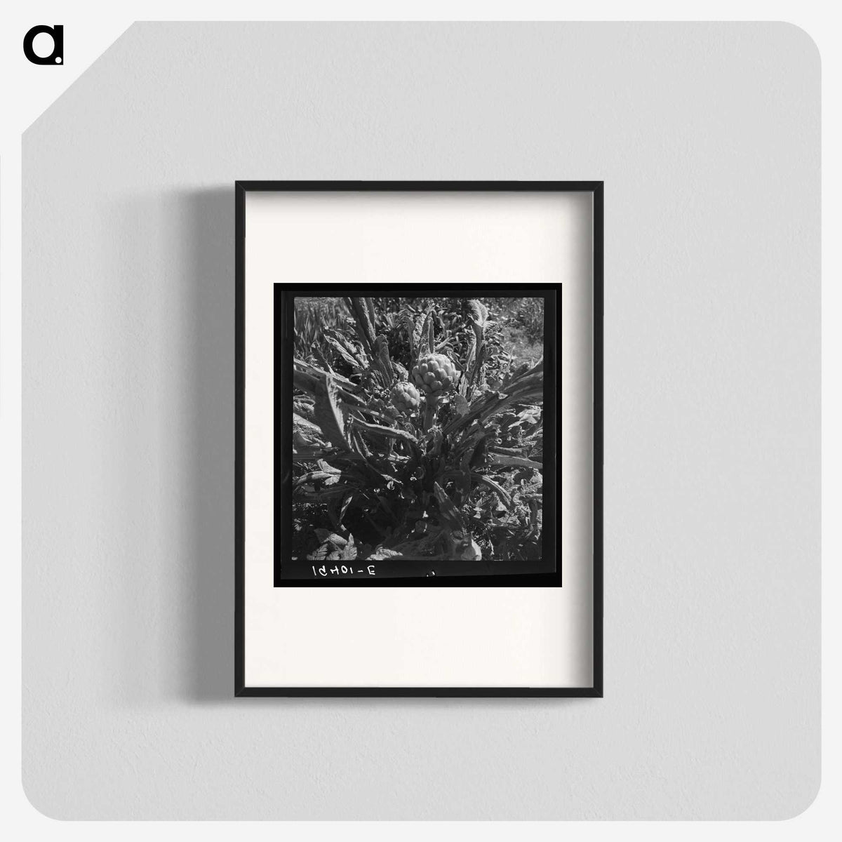2-80_Dorothea-Lange_blk