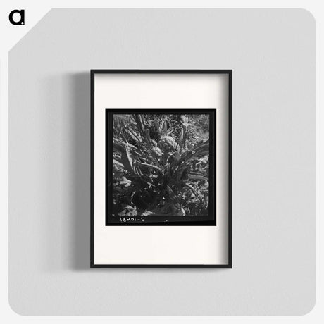 2-80_Dorothea-Lange_blk