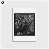 2-80_Dorothea-Lange_hagaki