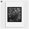 2-80_Dorothea-Lange_picture