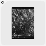 2-80_Dorothea-Lange_postcard