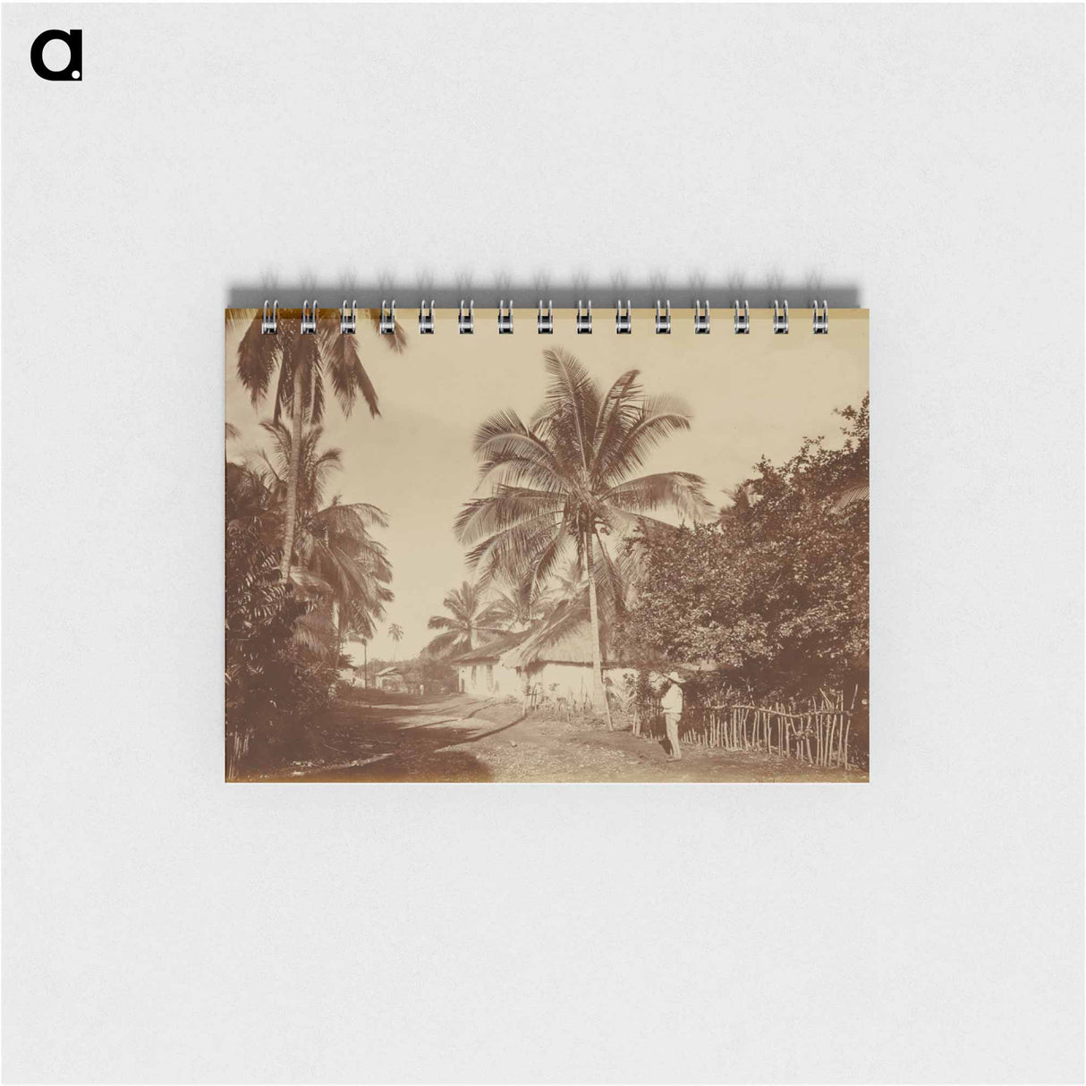 アートメモ帳-Cocoa Palm, Retalhuleu
 - エドワード マイブリッジ Memo.