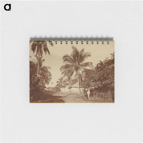 アートメモ帳-Cocoa Palm, Retalhuleu
 - エドワード マイブリッジ Memo.