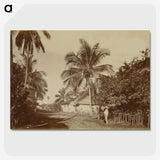 2-80_Eadweard-Muybridge_picture-crop