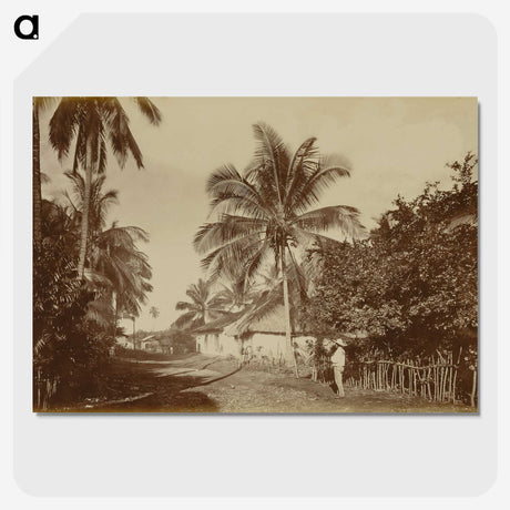 2-80_Eadweard-Muybridge_picture-crop