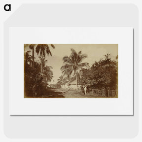2-80_Eadweard-Muybridge_picture