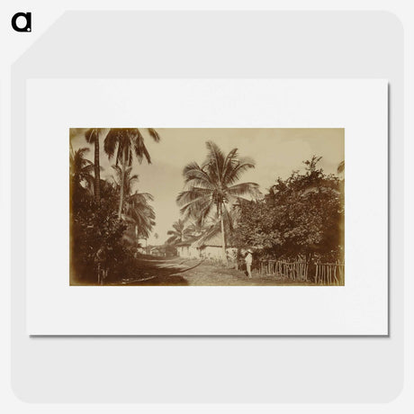 2-80_Eadweard-Muybridge_picture