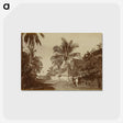 2-80_Eadweard-Muybridge_postcard