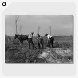 2-80_Frederick-Charles-Brockett_picture-crop