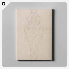 アートパネル-Human Figure, Posterior View
 - ジョージ スタッブス Canvas.