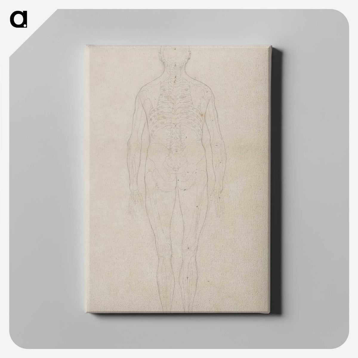 2-80_George-Stubbs_canvas