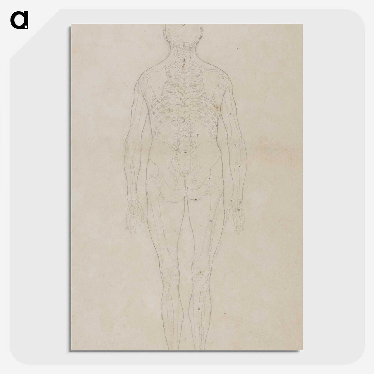 2-80_George-Stubbs_picture-crop