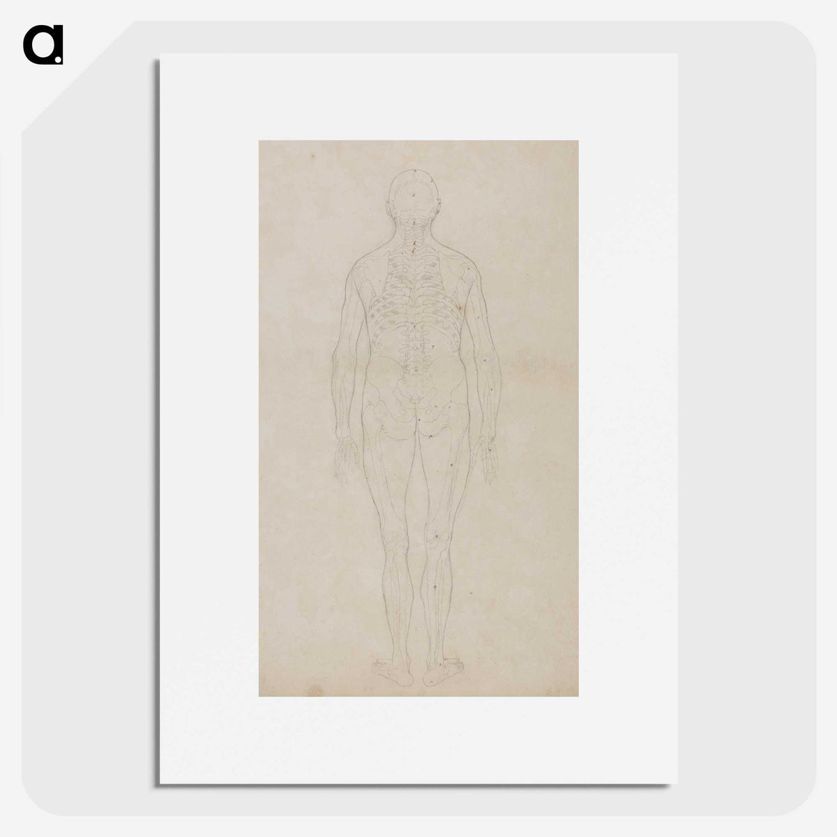 2-80_George-Stubbs_picture