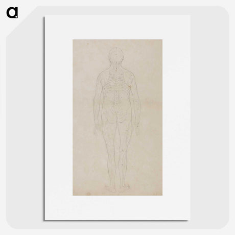 2-80_George-Stubbs_picture