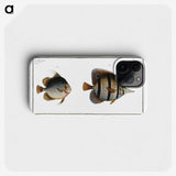 2-80_Ichtyologie-ou-Histoire-naturelle_phone