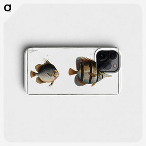 2-80_Ichtyologie-ou-Histoire-naturelle_phone