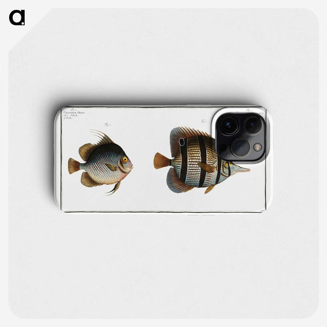 2-80_Ichtyologie-ou-Histoire-naturelle_phone