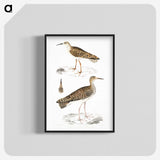 2-80_Indian-Zoology_blk-crop