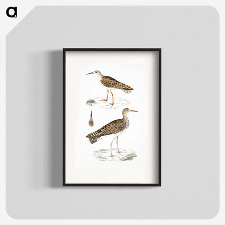 2-80_Indian-Zoology_blk