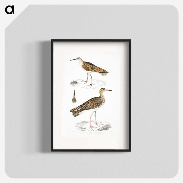 2-80_Indian-Zoology_blk