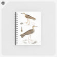 2-80_Indian-Zoology_memo