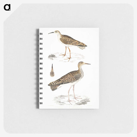 2-80_Indian-Zoology_memo
